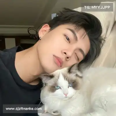 傅菁菲
